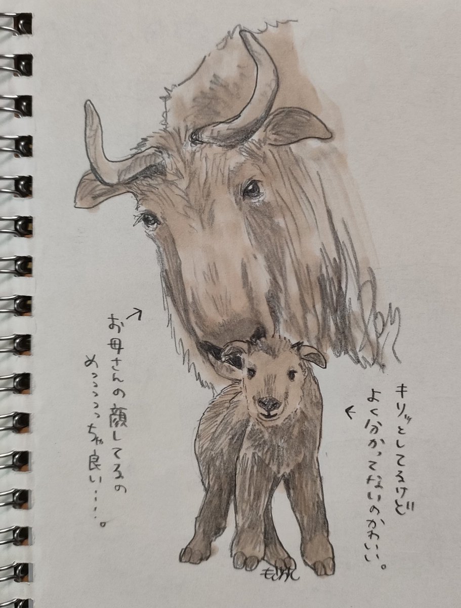 もぐらし tweet media