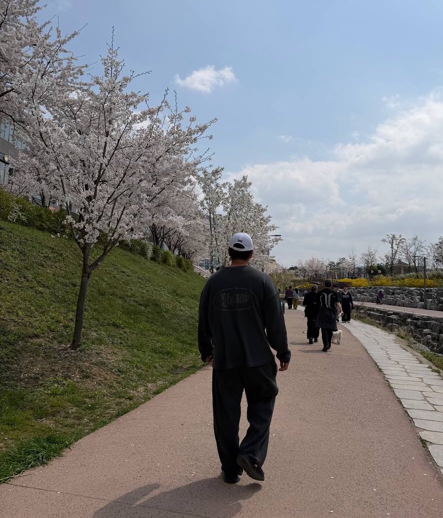 선샤인몽 tweet media