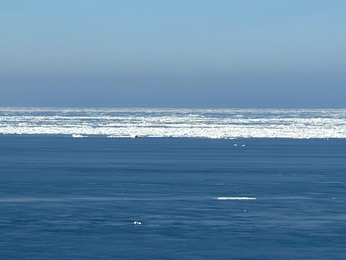 うつも tweet media