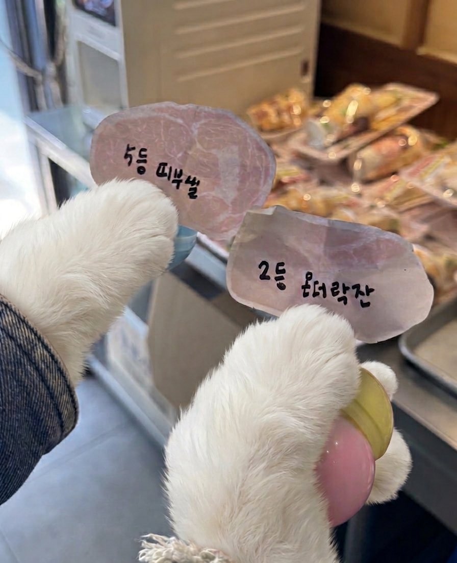 옒이✩‧₊ tweet media