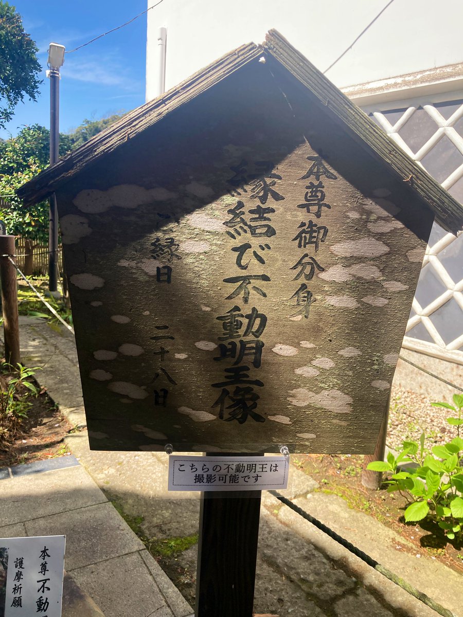 tsubuyakitai tweet media