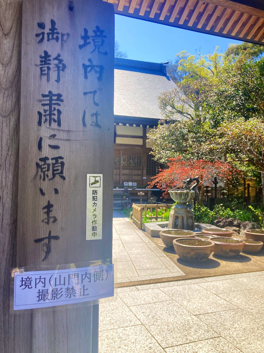 tsubuyakitai tweet media