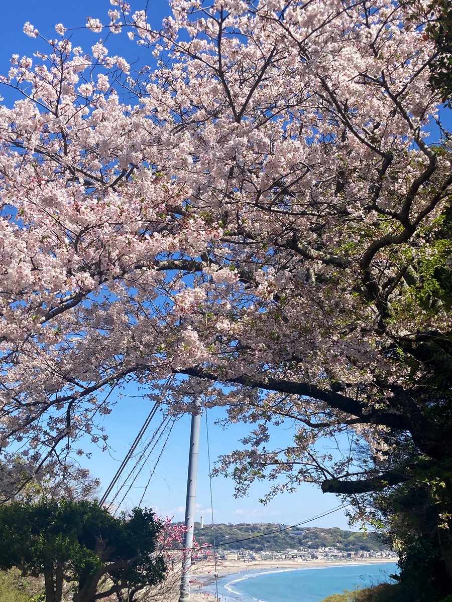 tsubuyakitai tweet media