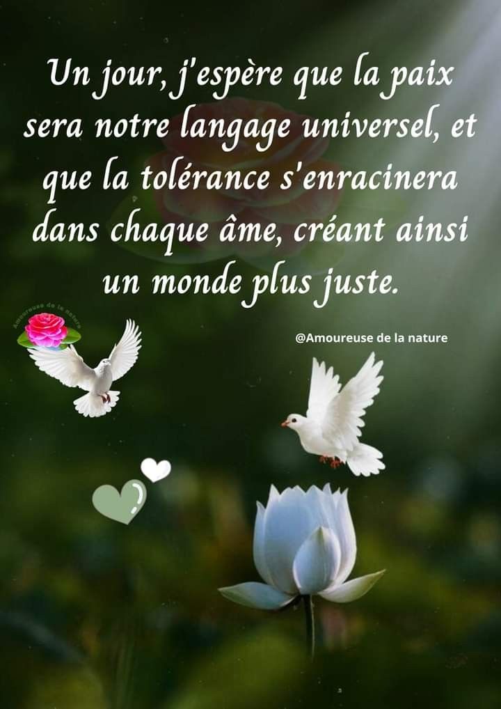 Corneville Geneviève tweet media