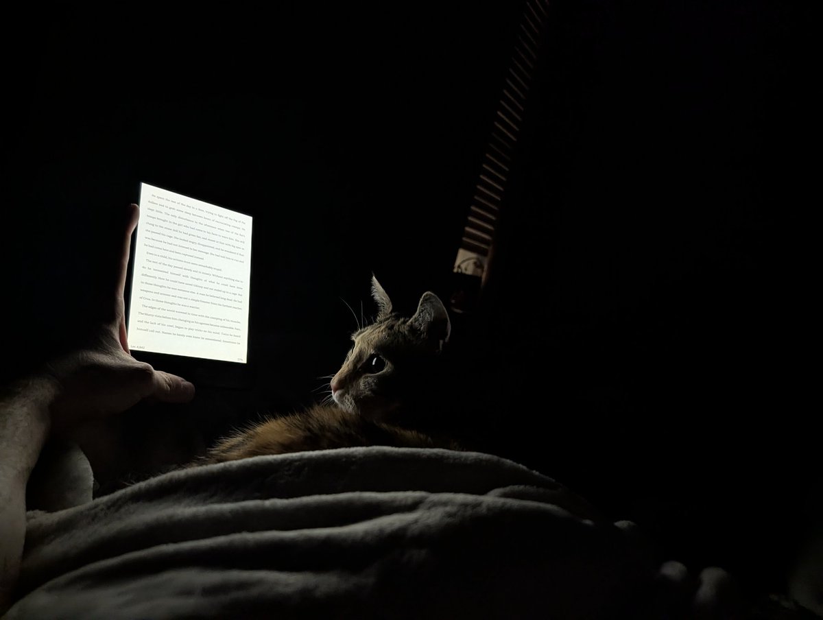 Zweil, The Reviled tweet media