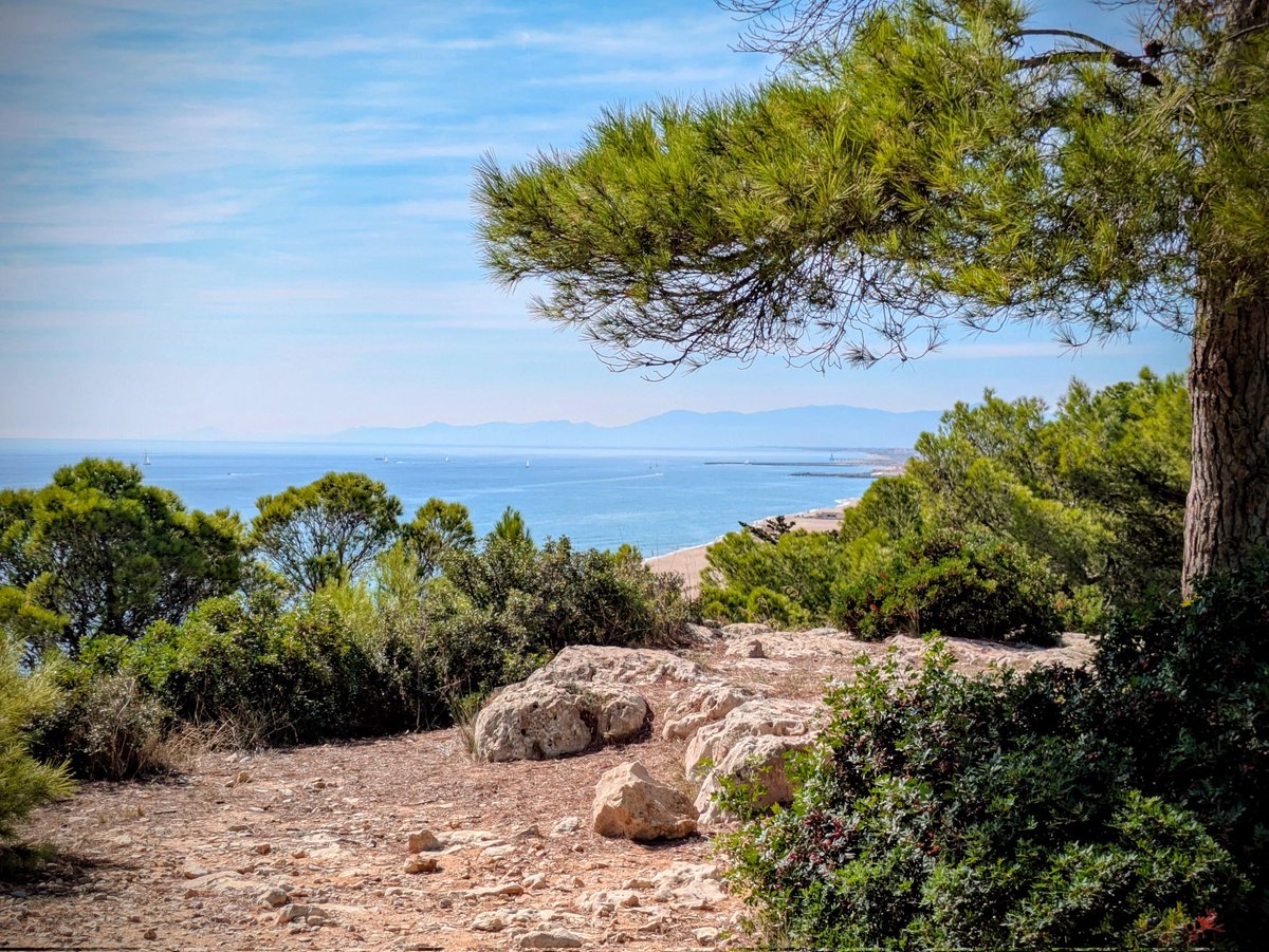 Balade Sympa🏃 tweet media