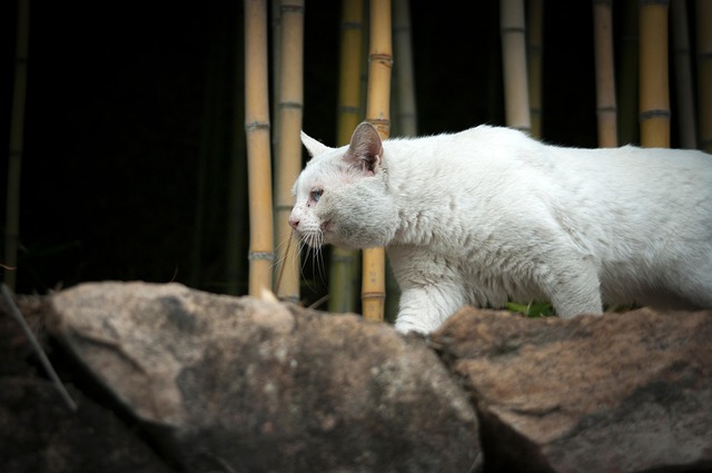 Michael Ball tweet media