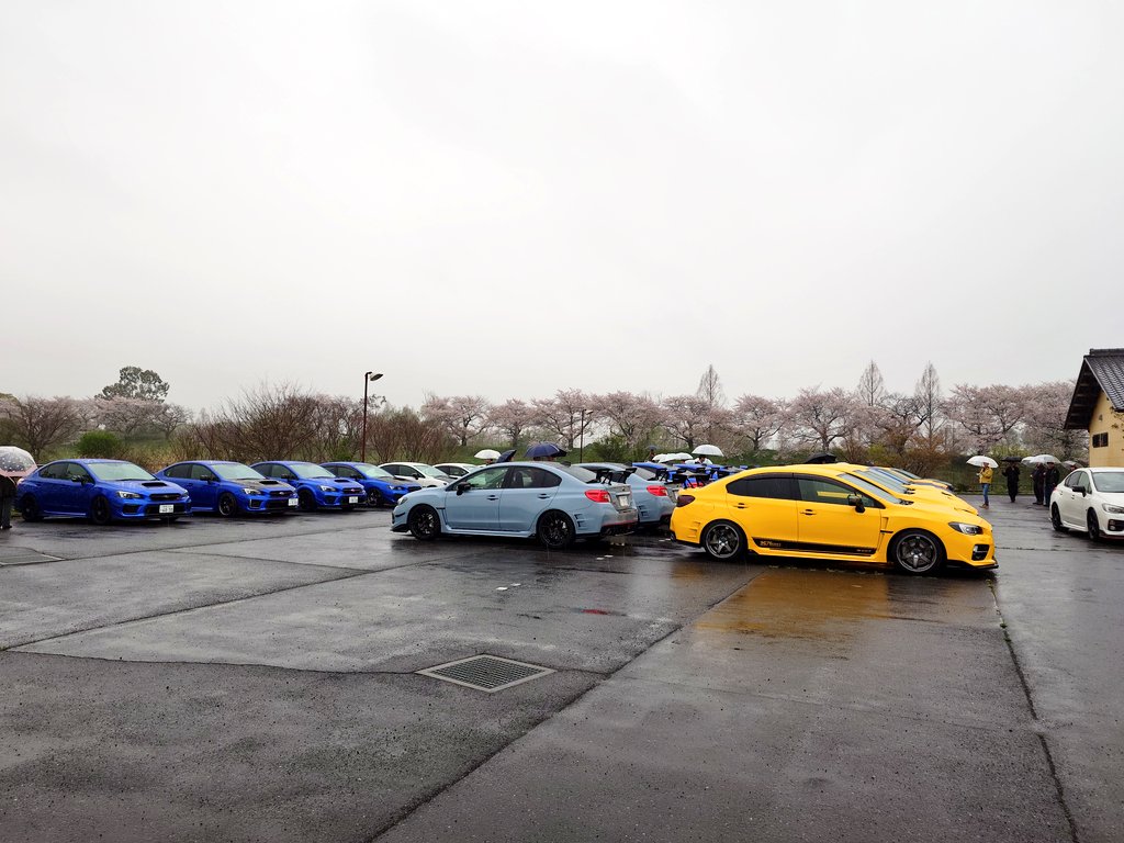 雨だけど限定車オフ！