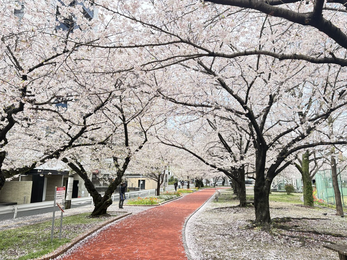 tenko128 tweet media