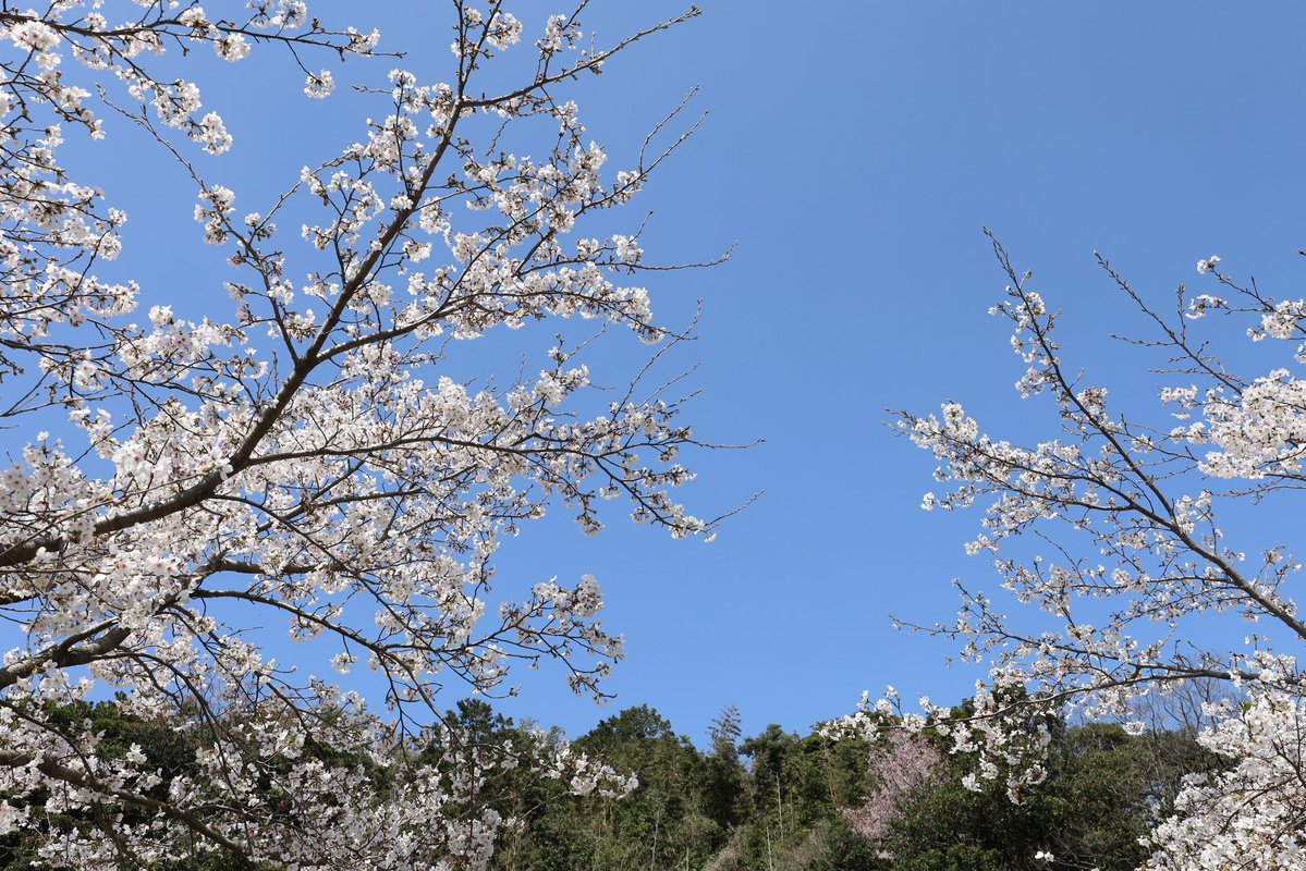 みなみ🐬✨💐 tweet media