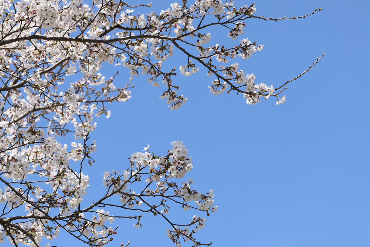 みなみ🐬✨💐 tweet media