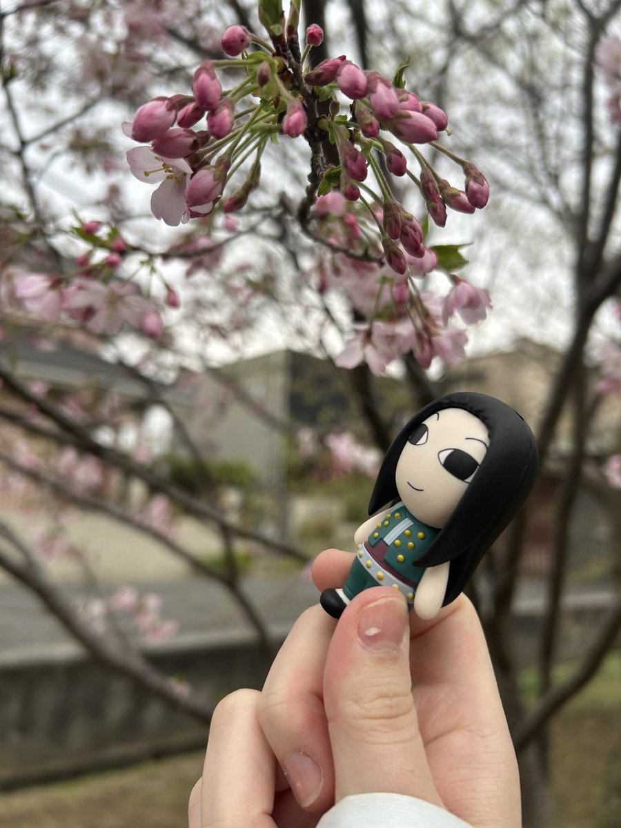 おはないるみ