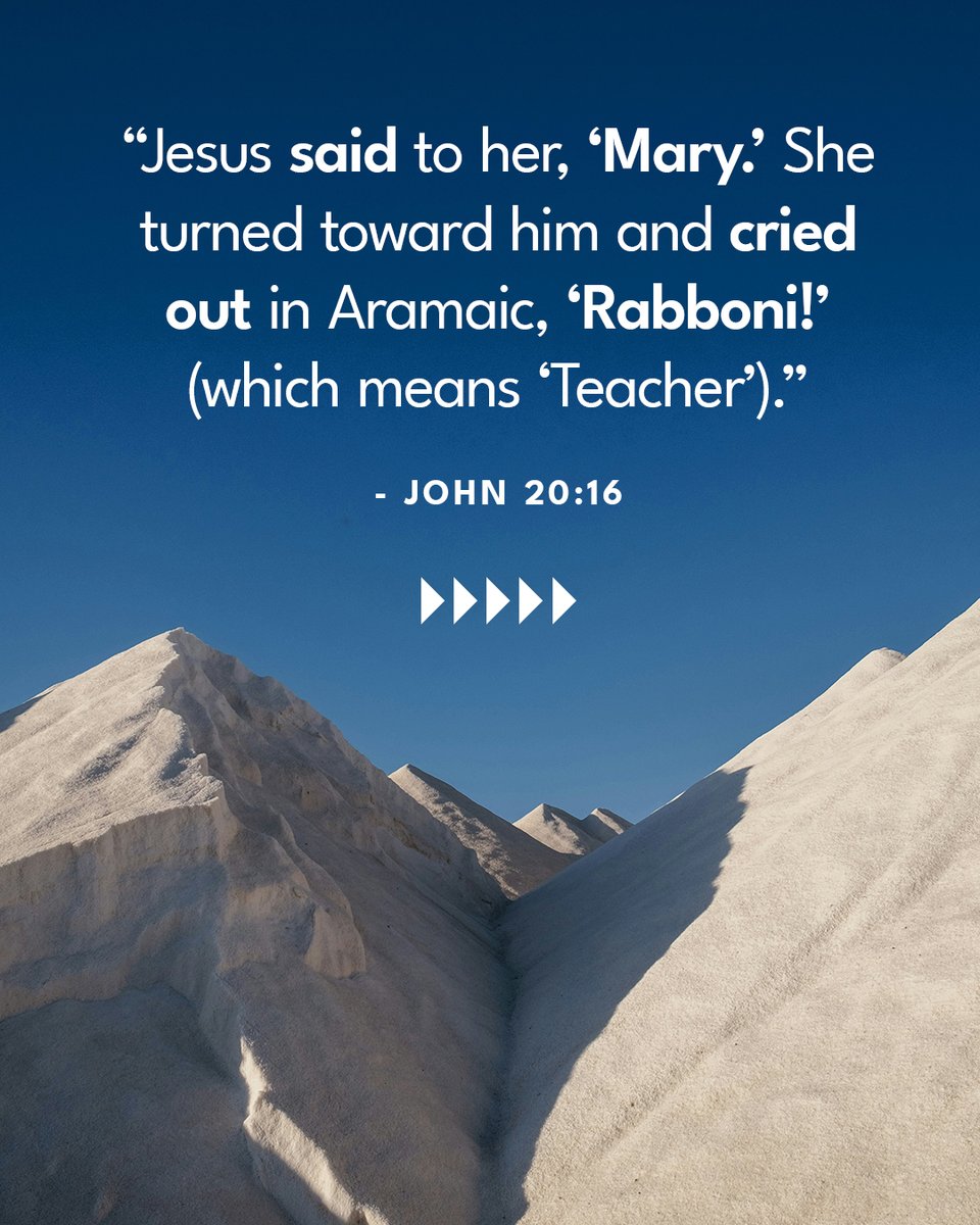 Leading The Way tweet media