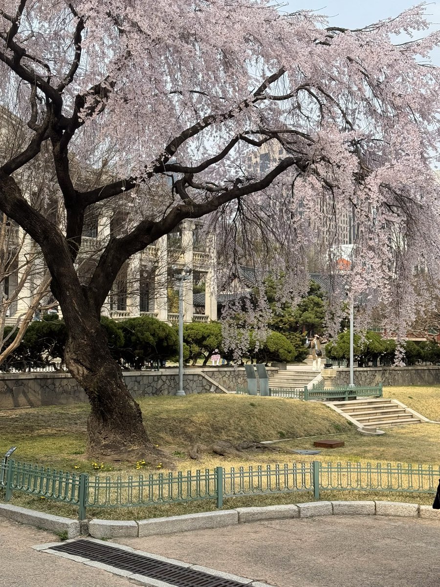 로운🎗 tweet media