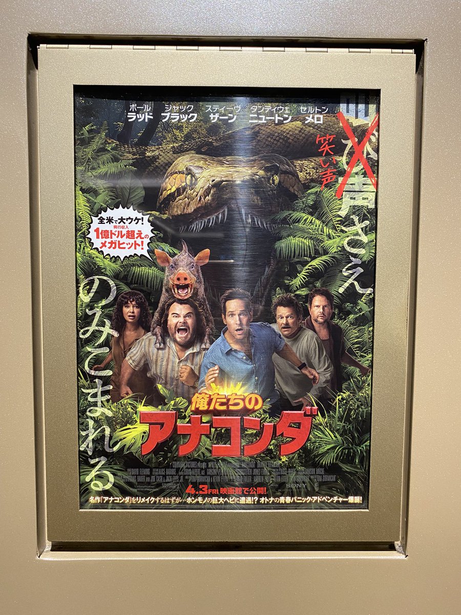 かもしだ tweet media