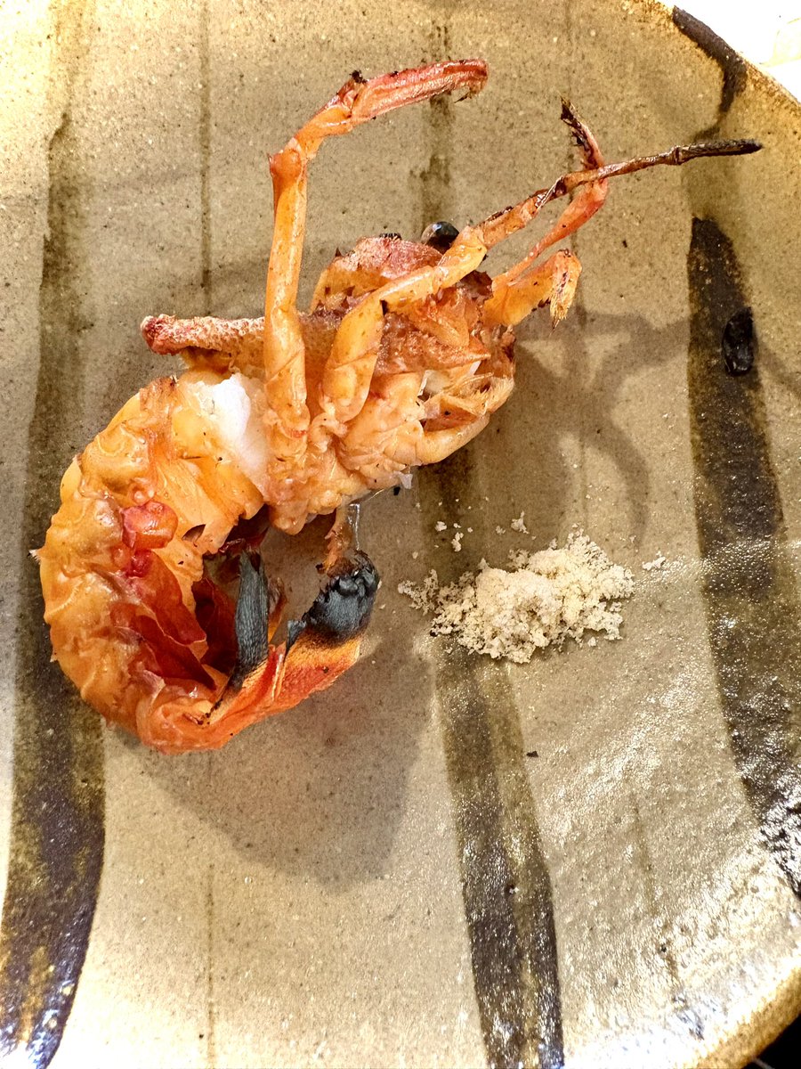 うつせみ標本屋@4/5カインズ城山店出店 tweet media