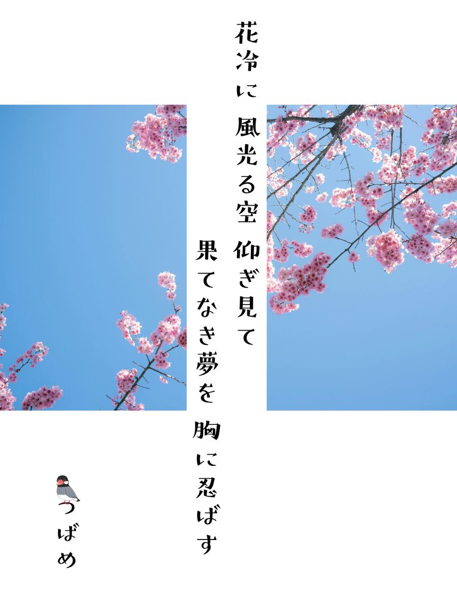 今はまだ

#つんつば #つばめ空翔ける狂歌 #短歌 #tanka #ミハテヌヤボウ
