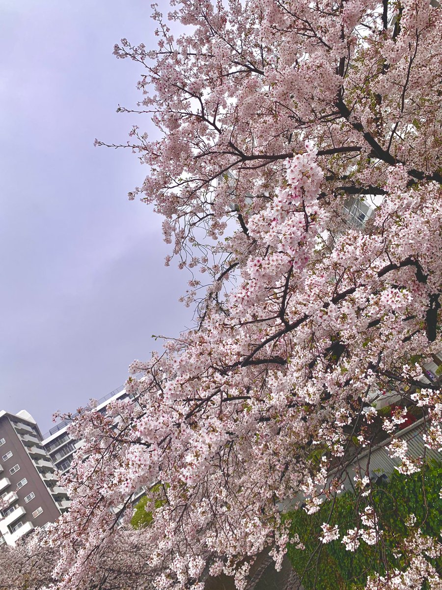 稲葉哲治🍉🏳️🌈🏳️⚧️ tweet media
