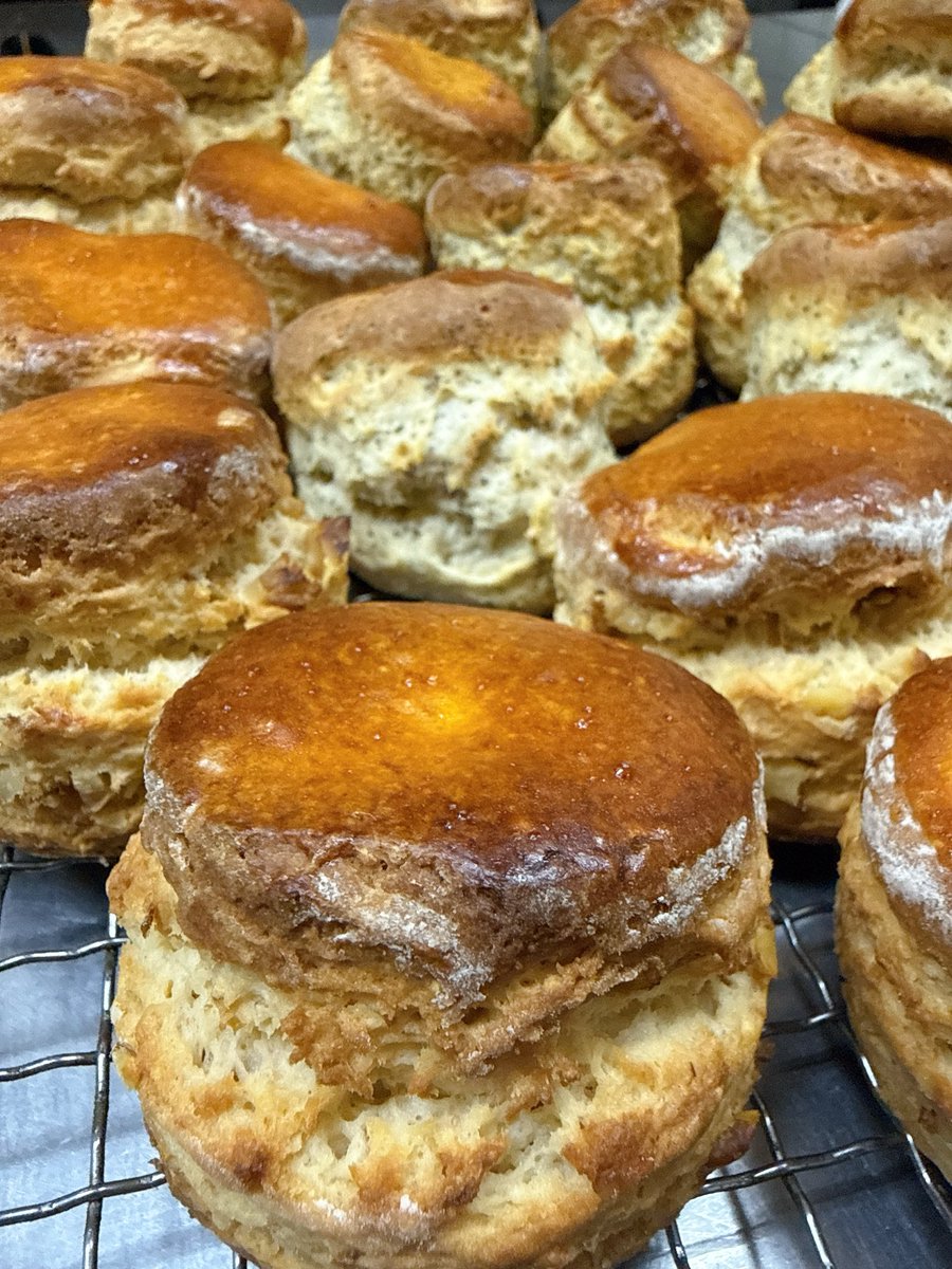 PatyCafe tweet media