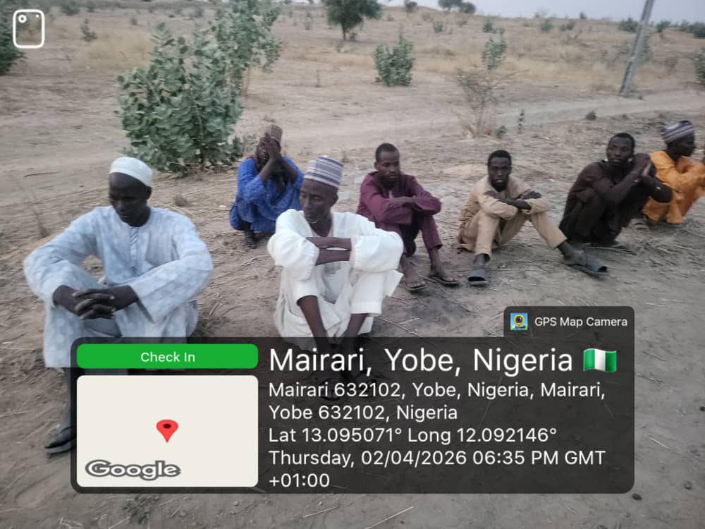 Comrade Àmọdá 🦇 tweet media