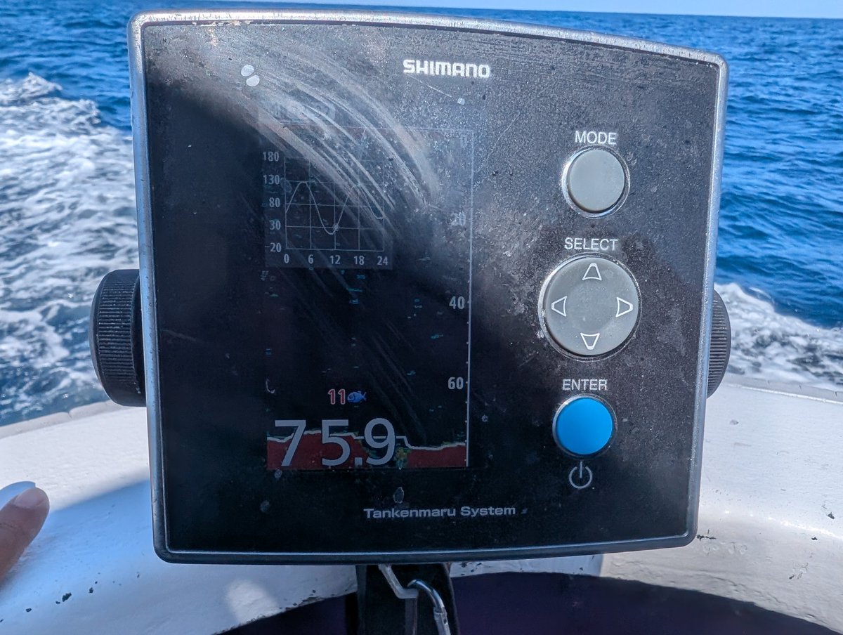 かみかみ♪ tweet media