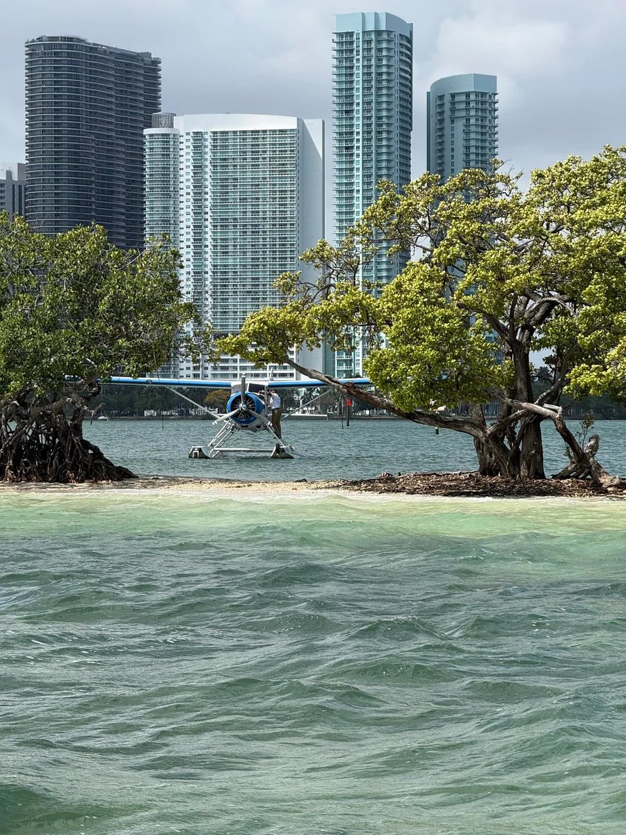 Urban GTA 6 tweet media