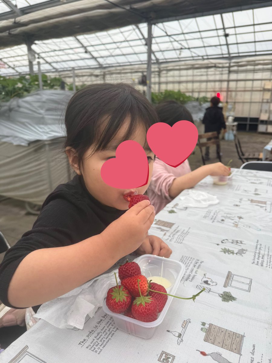 あーちゃ🍑(՞ ܸ. .ܸ՞) tweet media