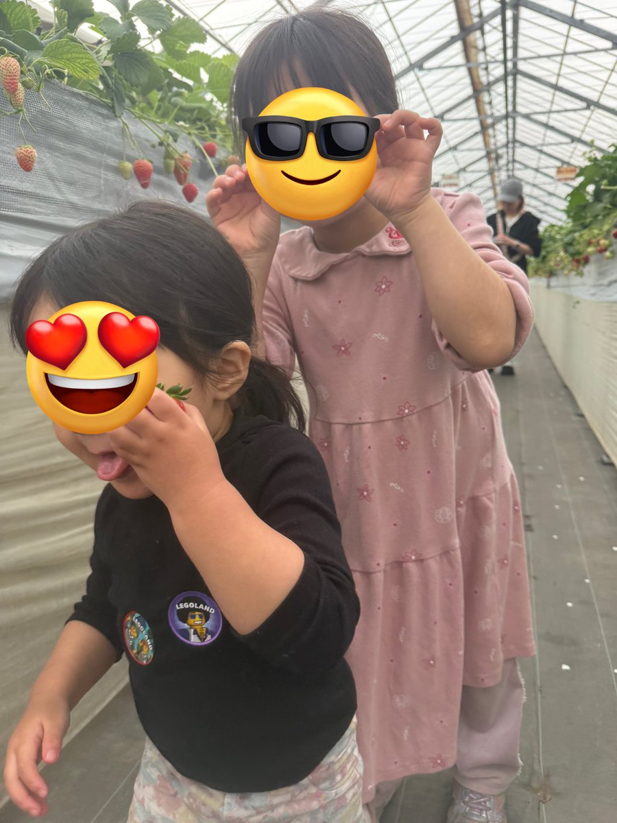 あーちゃ🍑(՞ ܸ. .ܸ՞) tweet media