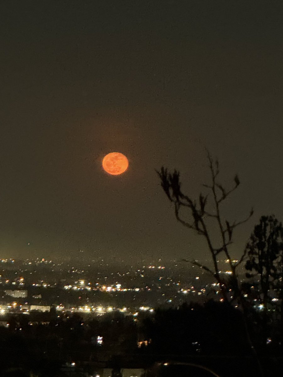 Christopher Webb tweet media