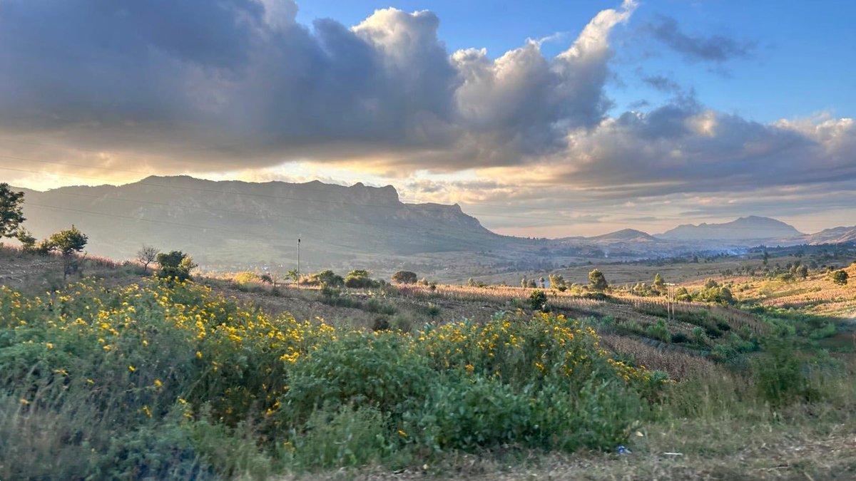 World Bank Group Climate and Environment tweet media