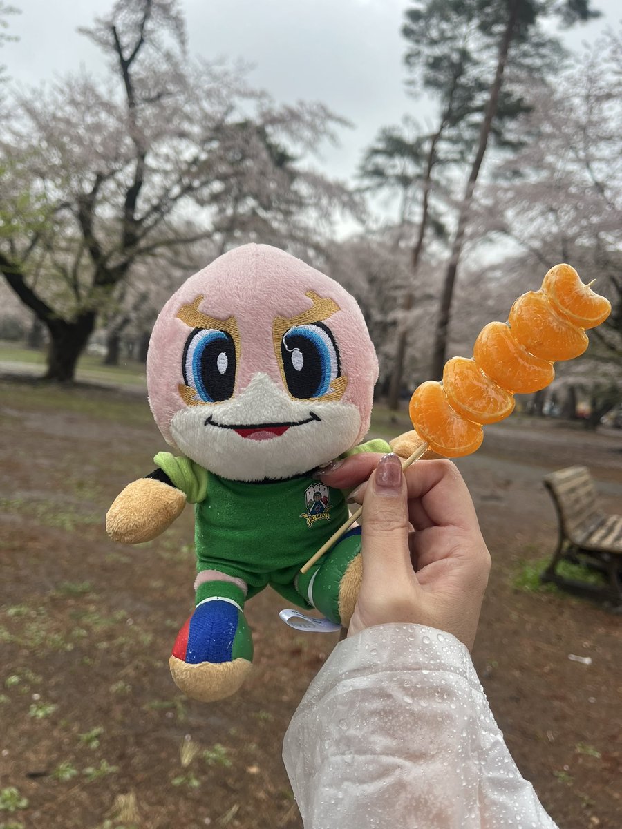 ぴか⚡️ tweet media