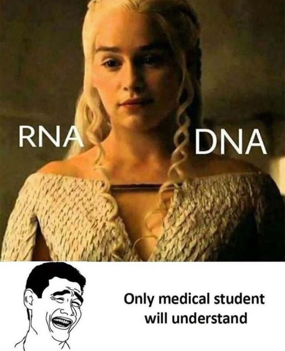 WholesomeMemes tweet media