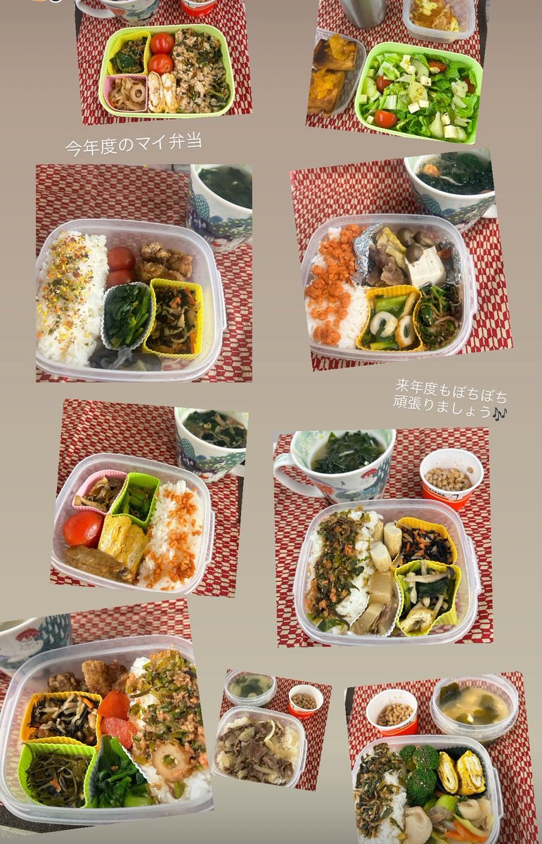 さくら🍮 tweet media