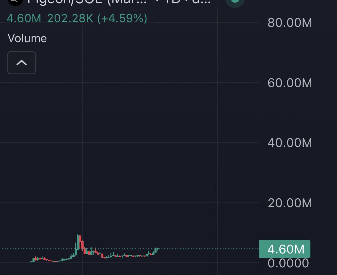 ISELLB4U tweet media