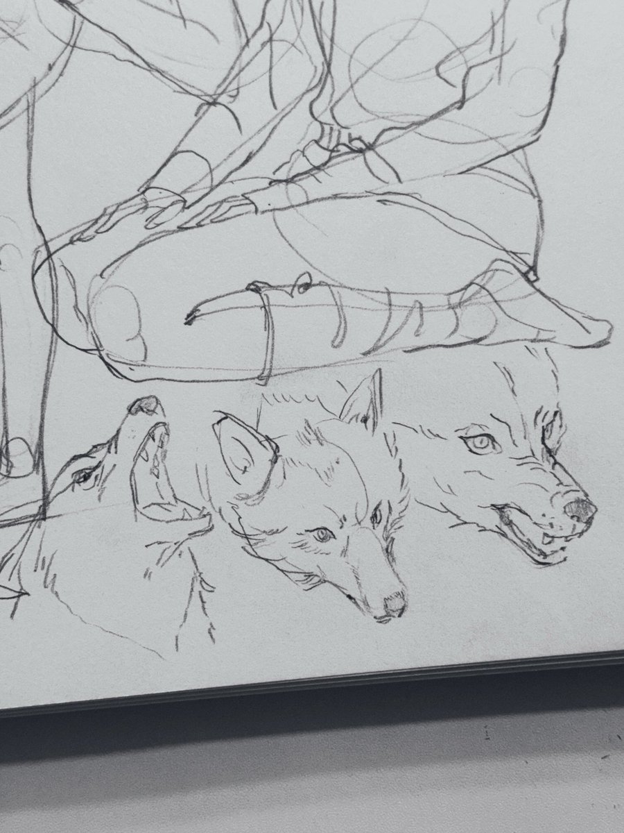 Chommang 조맹 tweet media