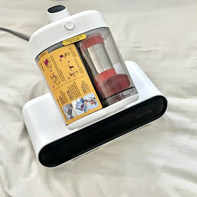 Sunflower tweet media