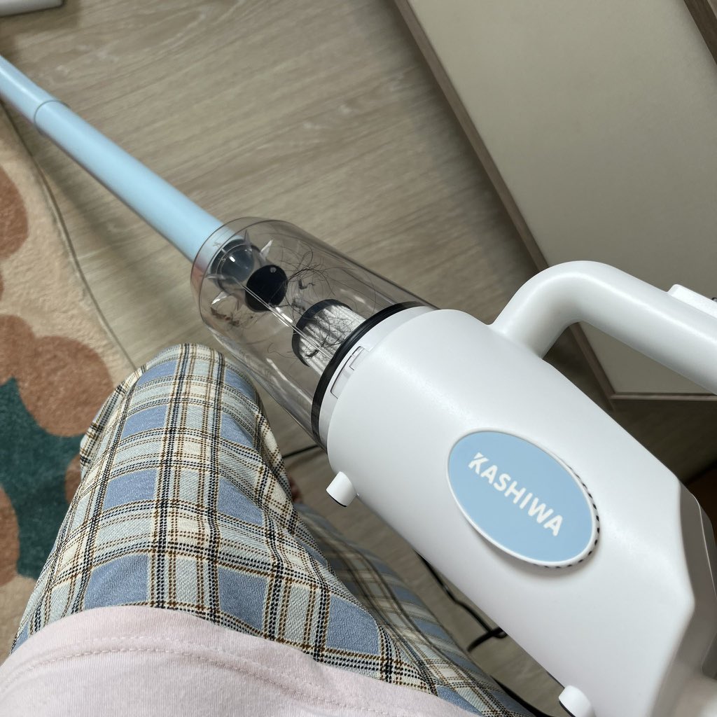 Sunflower tweet media