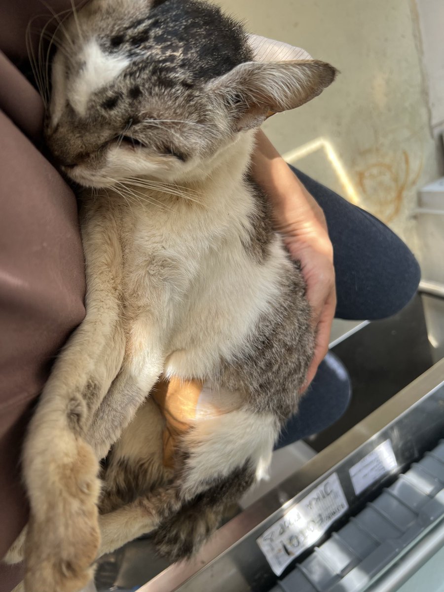 Anissa Nadia F tweet media