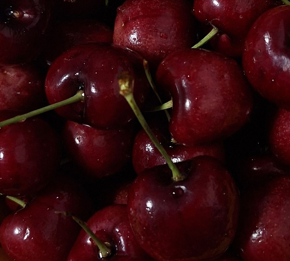 <a href="/chaconneseung/">audrey | sevEN— 🦌</a>