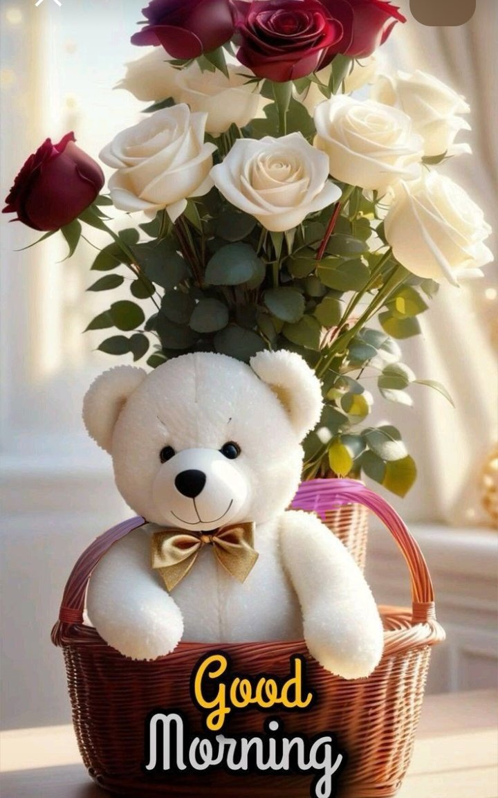 Teeclassic1 tweet media