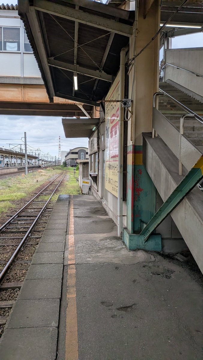 けいすら tweet media