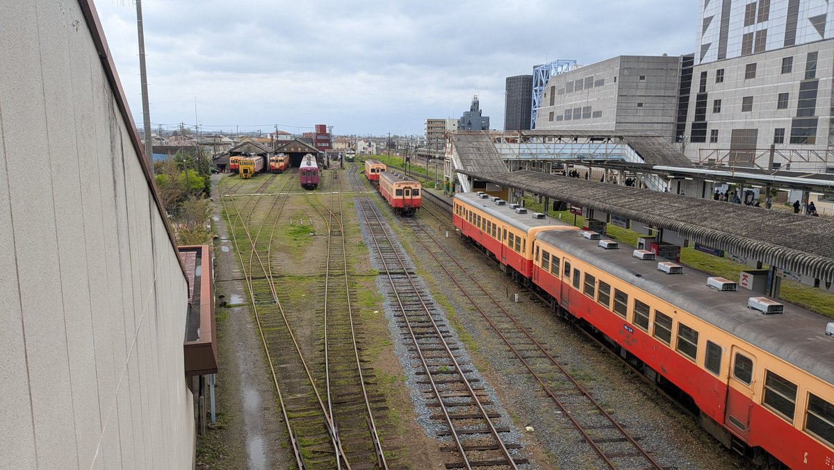 けいすら tweet media