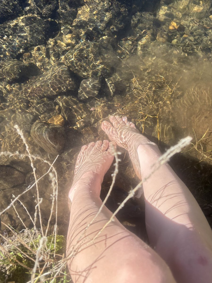 sadrhinos tweet media