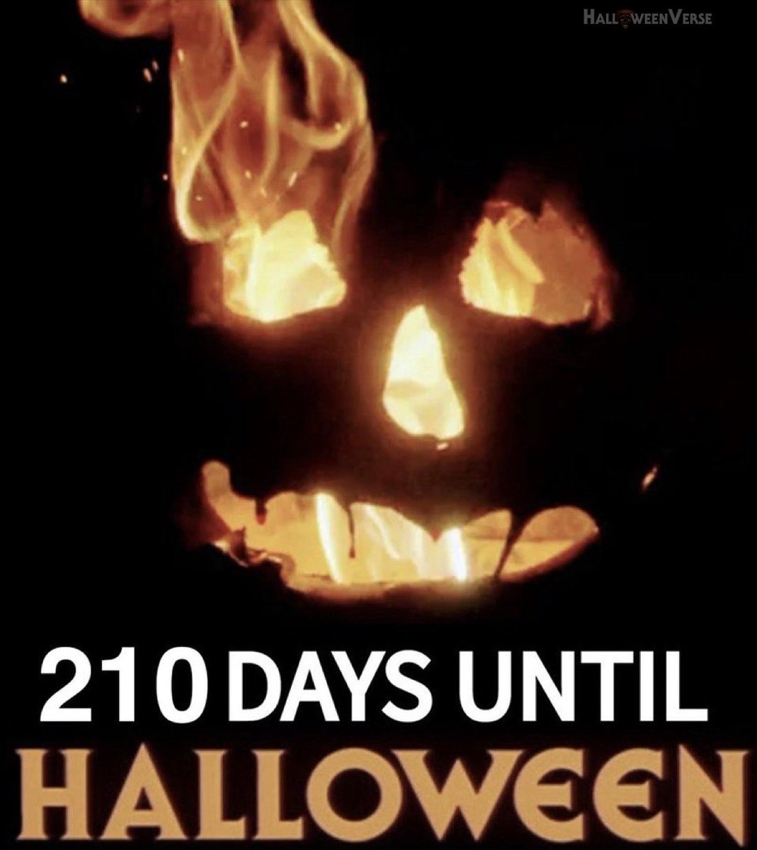 HalloweenVerse tweet media