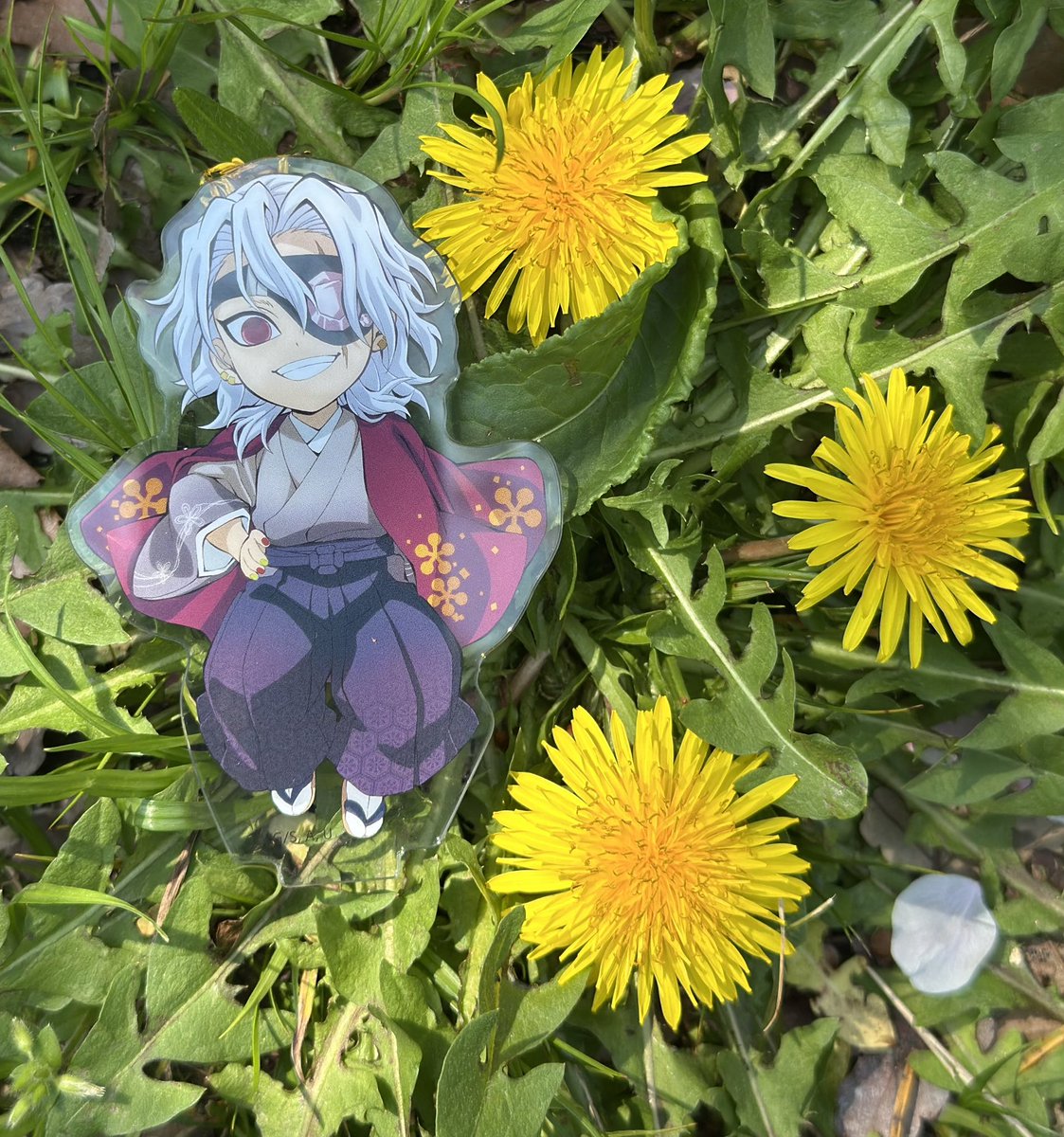 #ひらいて赤ブー

👹滅の🔪
宇💎天💎×我⚡️善⚡️
宇善プチ「もうぜんぶ、」の定期開催をよろしくお願いします🙌

RP集計となりますのでポチッとお願いします👇

⚡️< あれ？俺は？俺が写ってないんですけど！？
💎< あ？ちゃんと写ってるじゃねぇの。黄色い…
⚡️< 誰がタンポポじゃい💢