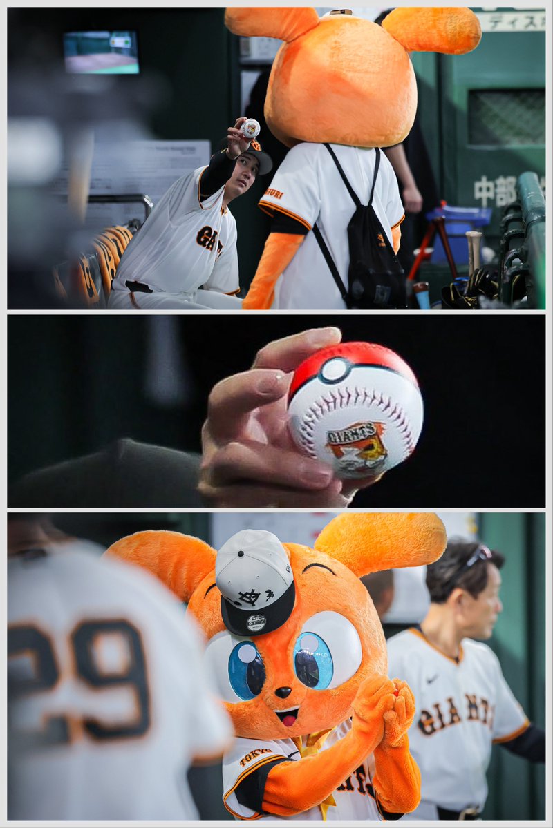 小林泰斗📷スポーツ報知 tweet media