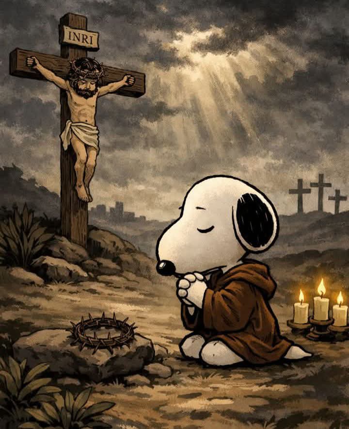 BRUJA HADA tweet media