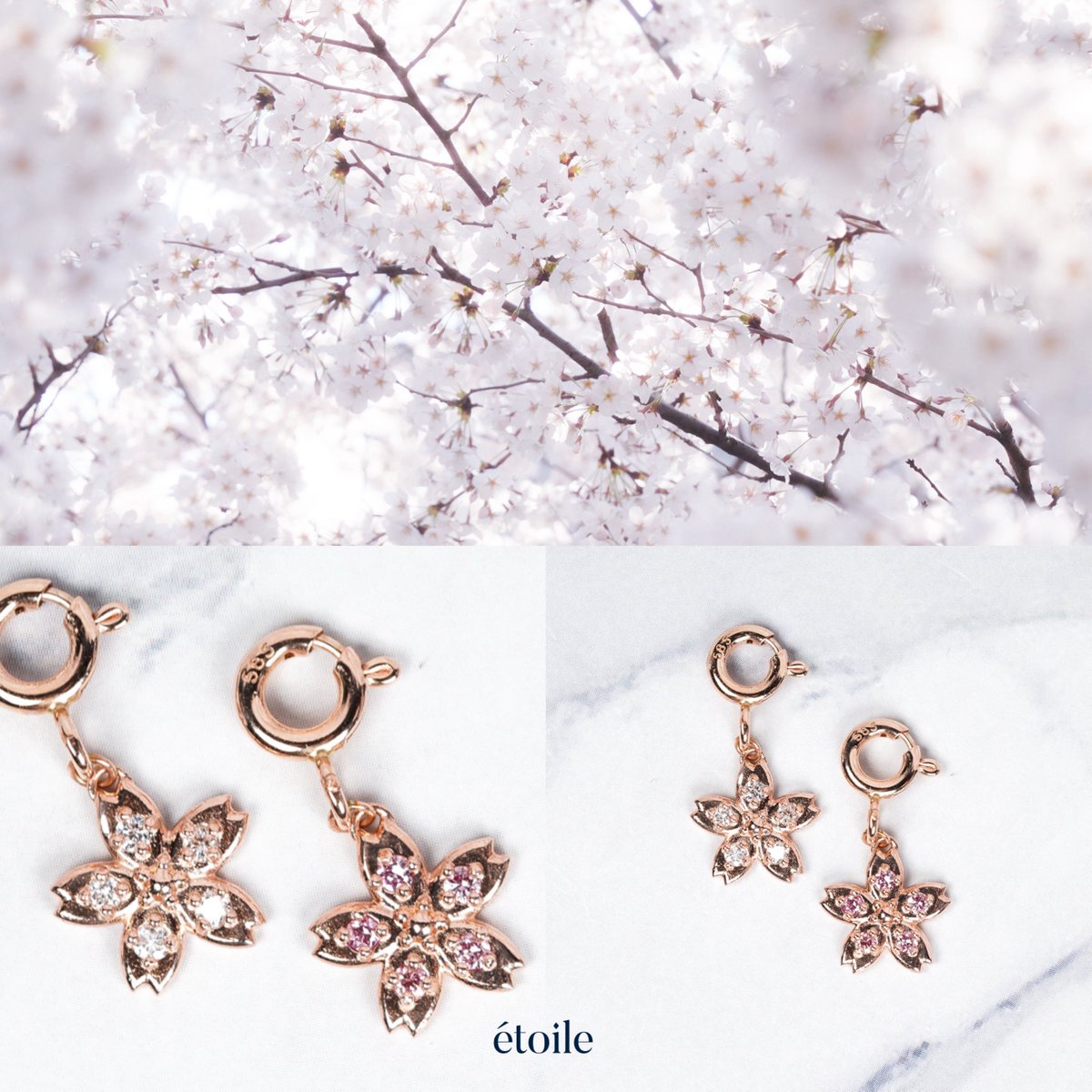 etoilestellar's tweet photo. 🌸 https://t.co/KsPDPq9hHp
