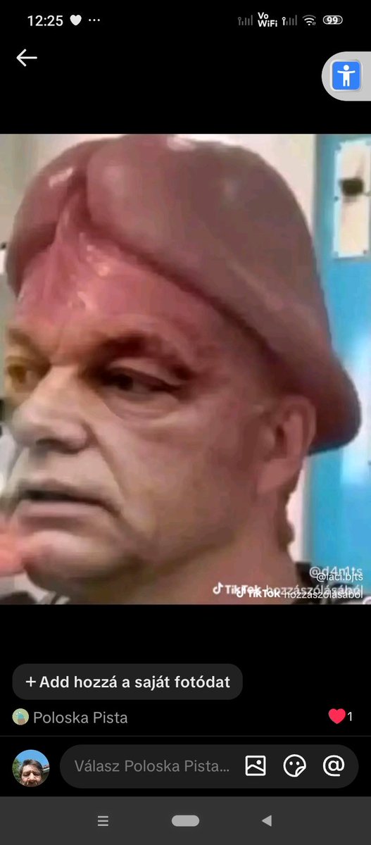 István Gyulai tweet media