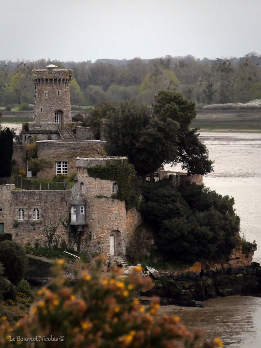 Nicolas le Bournot tweet media